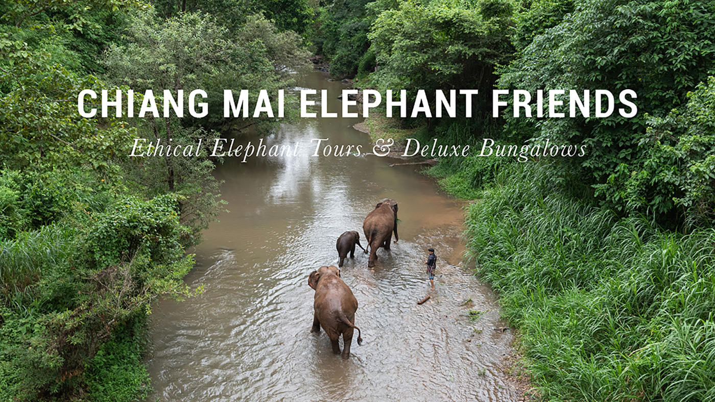 Chiang Mai Elephant Friends - Bungalows and Elephant Experience