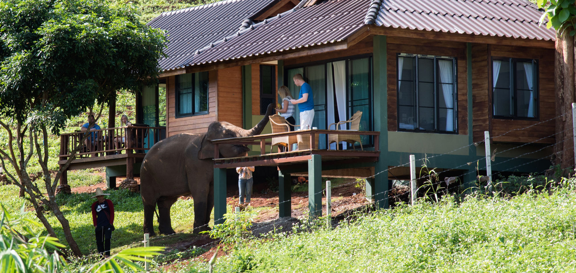 bungalow intro - Chiang Mai Elephant Friends