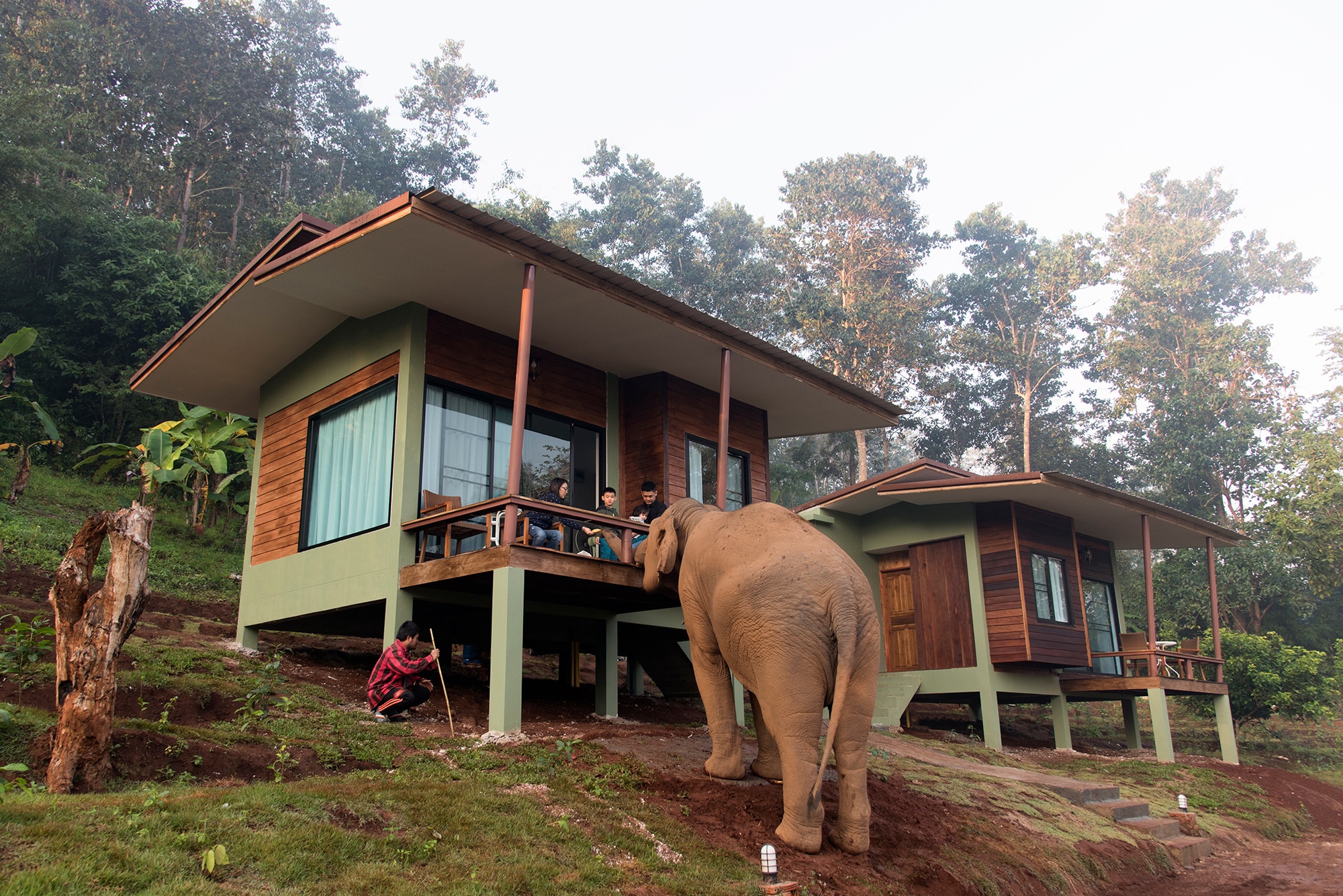 room-23-2 - Chiang Mai Elephant Friends